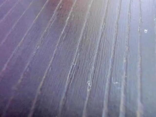 AbbyJhonsS from BongaCams