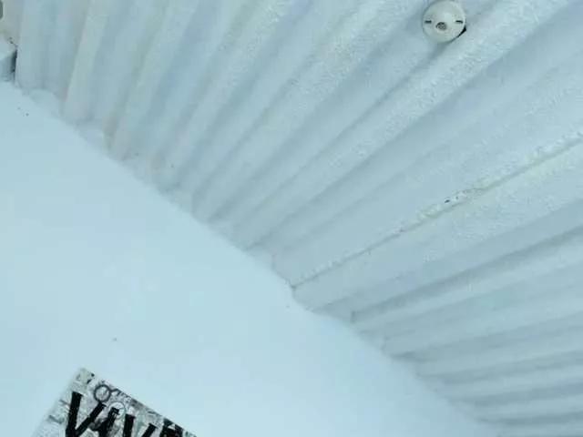 BelleDalana from BongaCams