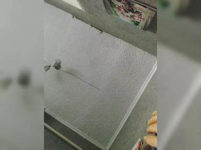 Big009DD from BongaCams is Freechat