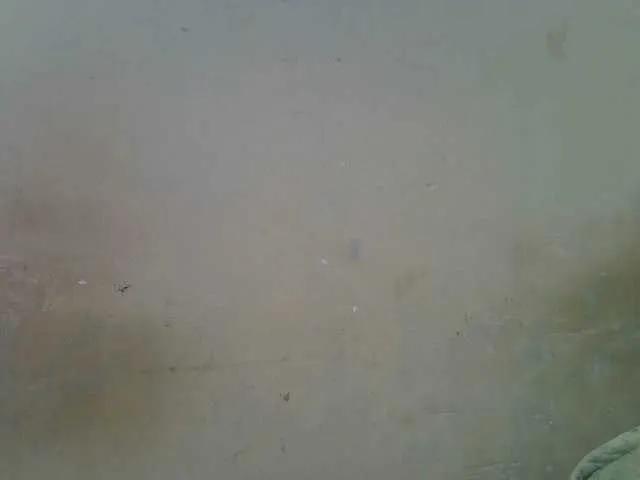 Fay-smarter from BongaCams is Freechat