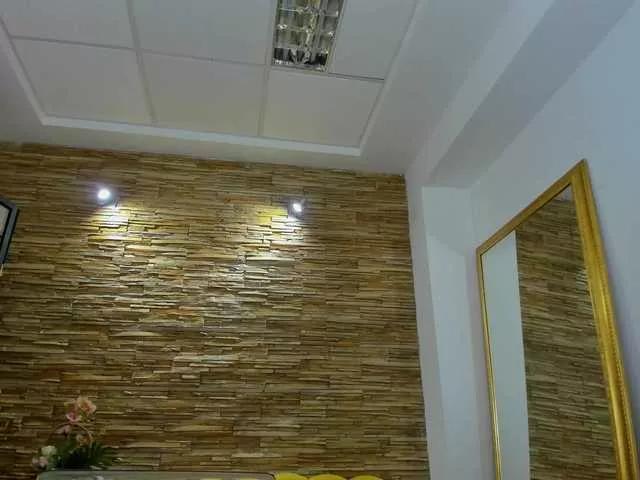 JessyBee from BongaCams is Freechat