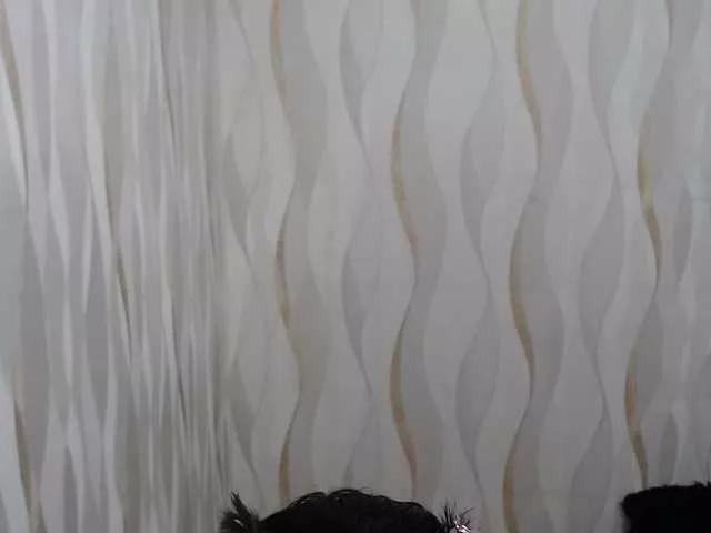 LauraBree from BongaCams is Freechat