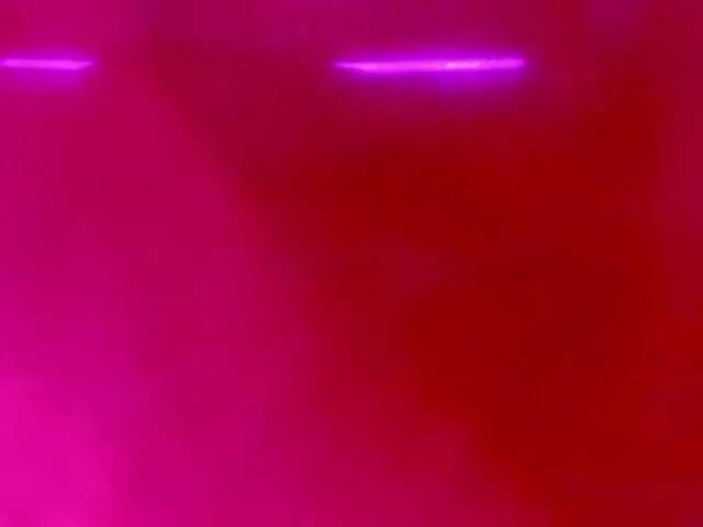 LunaZotto from BongaCams is Freechat