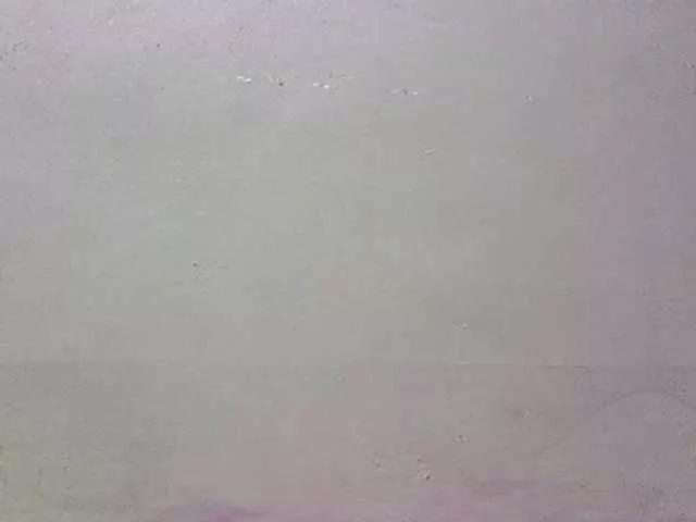 paradisehairy from BongaCams