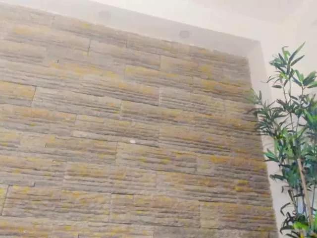Peachy-Tease from BongaCams is Freechat