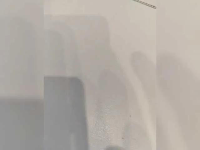Promes1k19922 from BongaCams is Freechat