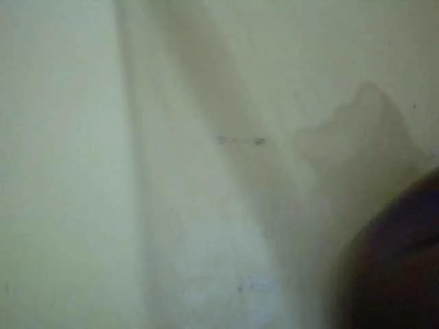 Sassy-Bella from BongaCams