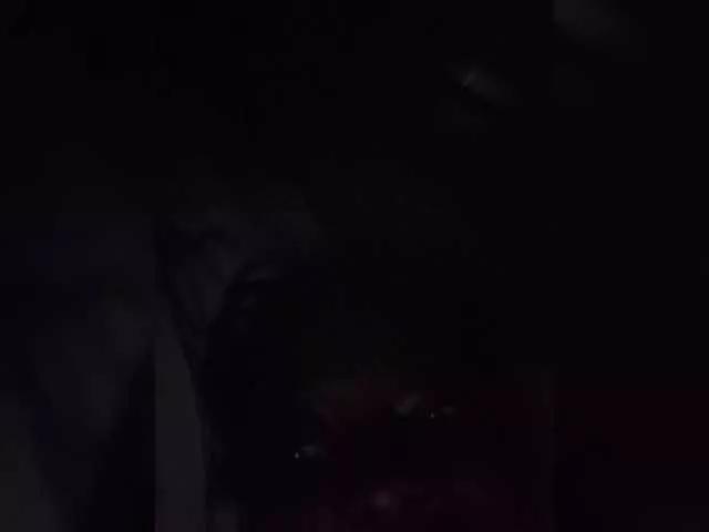 spicyflorah from BongaCams is Freechat