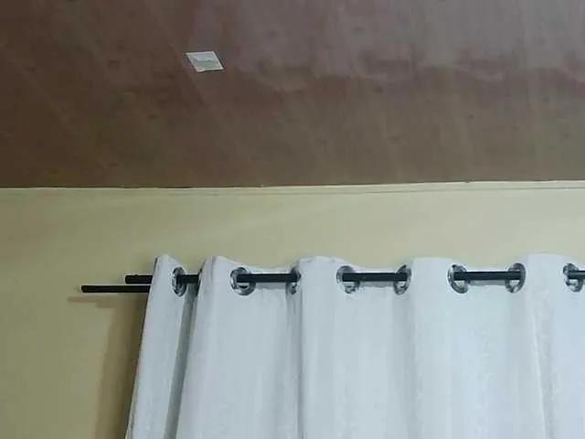 trina94 from BongaCams is Freechat