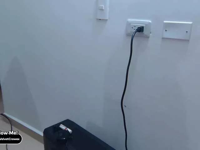 Velvetcrowe from BongaCams