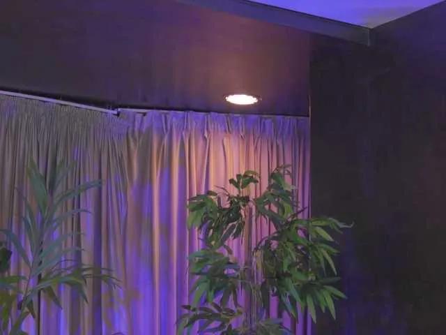 ZennySings from BongaCams