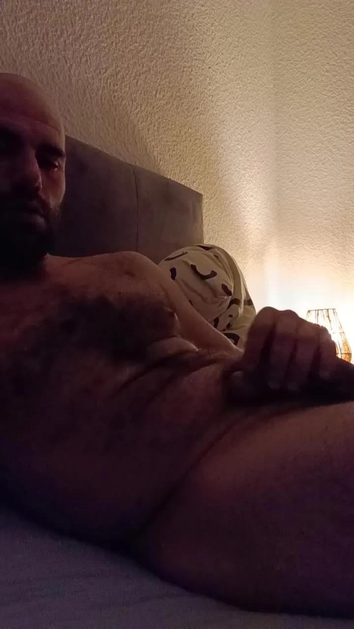 Auvergine webcams show profile image 