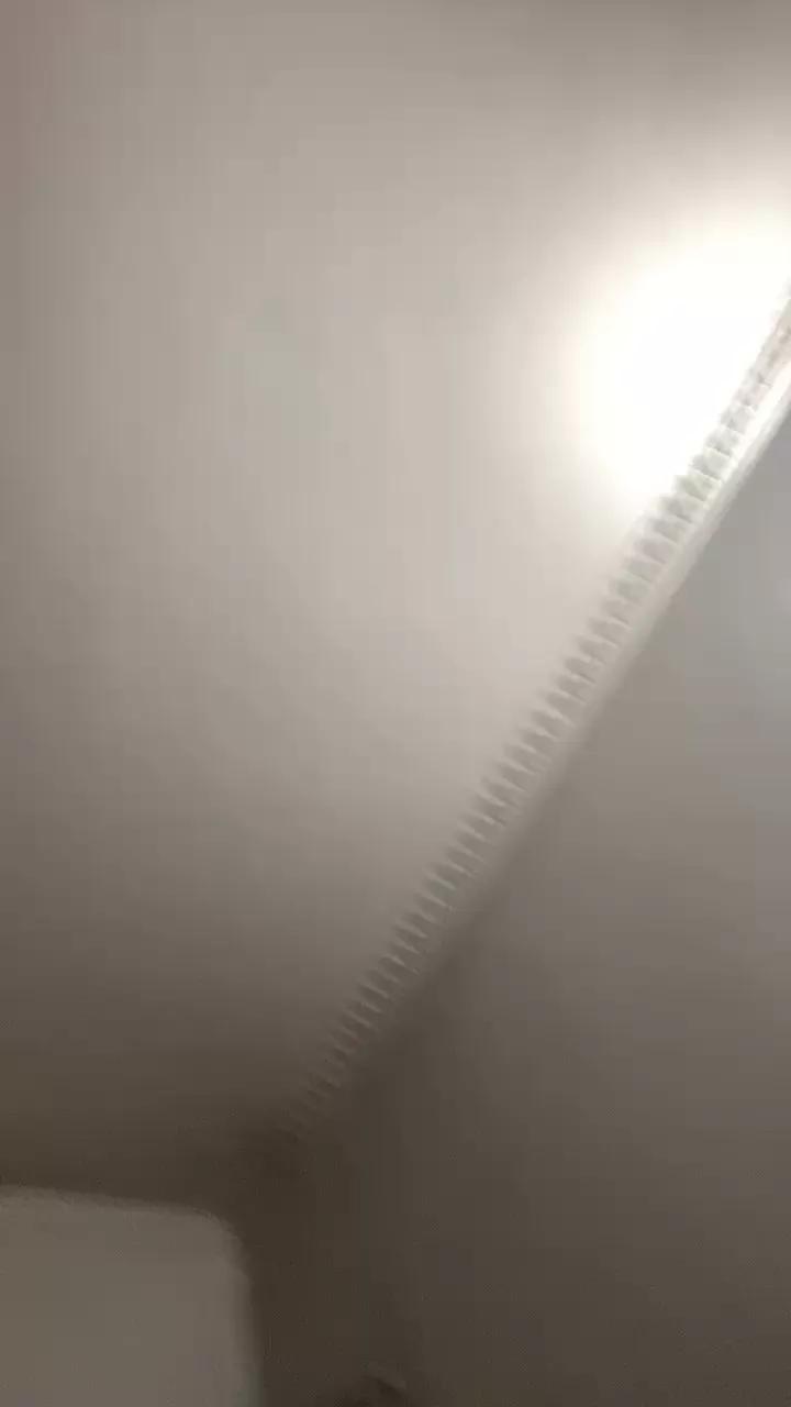 BnJ7