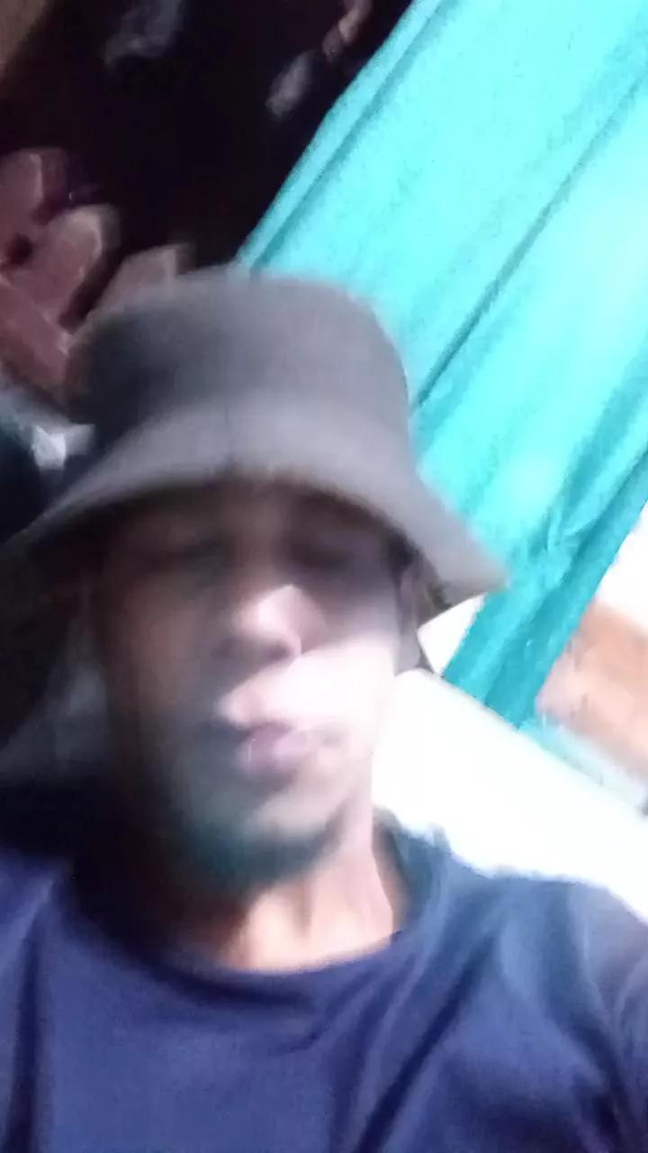 PadeiroSafadao