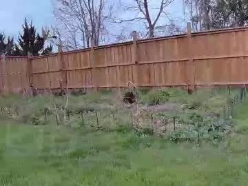 ells_palace from Chaturbate is Freechat