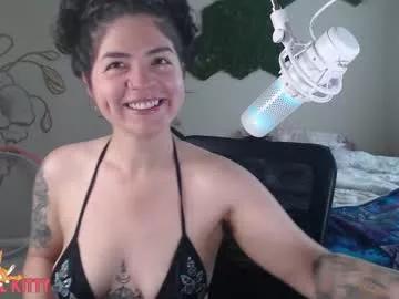 festivalkitty from Chaturbate is Freechat