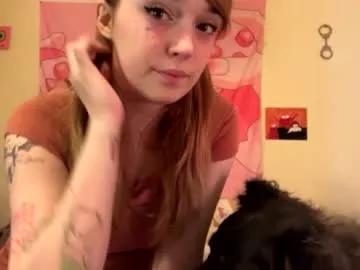 kittyme0ws from Chaturbate