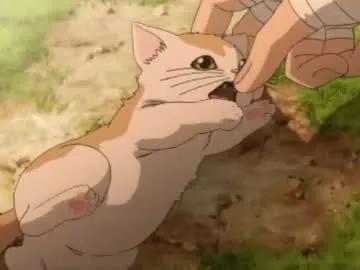 larainebertinetti from Chaturbate is Freechat