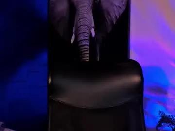 noah_brigth from Chaturbate is Freechat