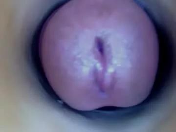 paulainoscente from Chaturbate is Freechat