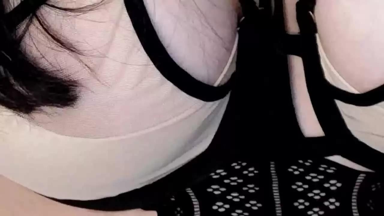 Alaia_Vukovit from Streamray