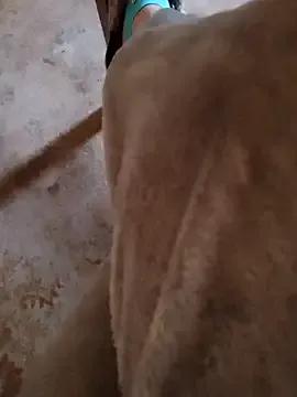 Alinasis23 from StripChat is Freechat