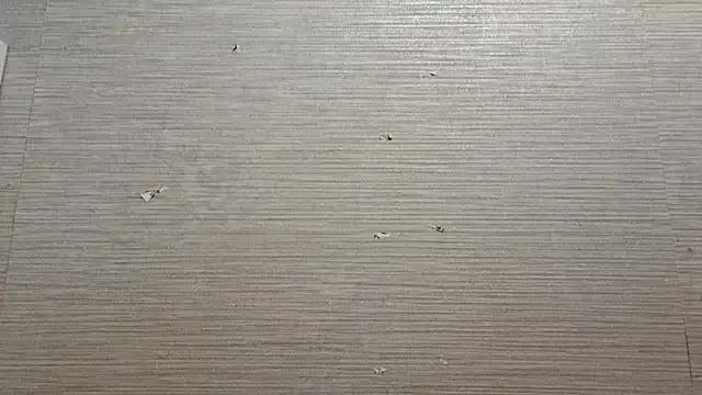 AstraVale from StripChat is Freechat