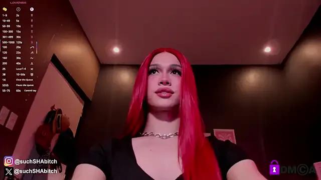 Blake_Pumps from StripChat is Freechat
