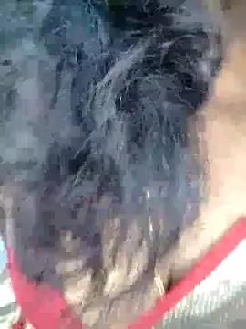 City_Queen_Kannada_Telugu from StripChat is Group