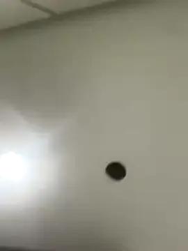 elliepixie from StripChat is Freechat