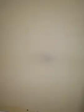 estefymariam88 from StripChat is Freechat