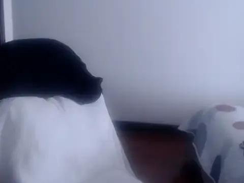 fenix_colette from StripChat is Freechat