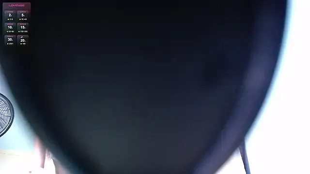 FoxyHot160