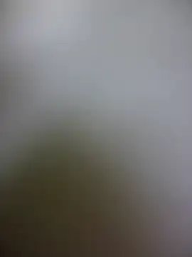  GoodGirlGoneBadXXX chat room