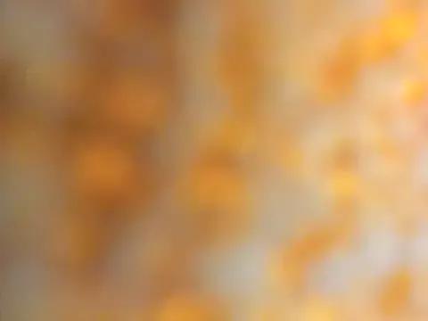 Julieta_star_69 from StripChat is Freechat