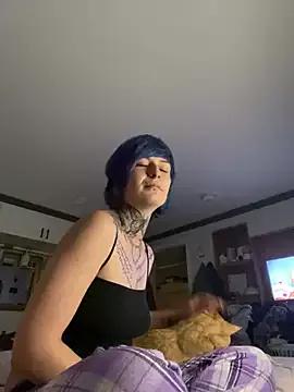 kittybabyxxx from StripChat is Freechat