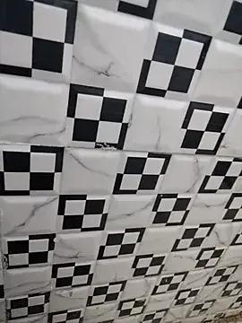 Meenu_bhabhi547 from StripChat