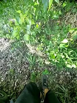 nagymakk89 from StripChat is Freechat